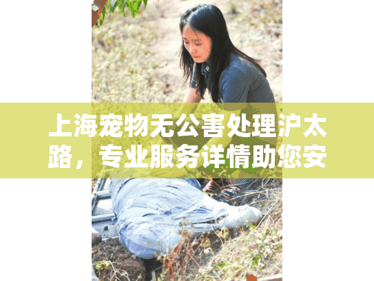 上海宠物无公害处理沪太路，专业服务详情助您安心告别？