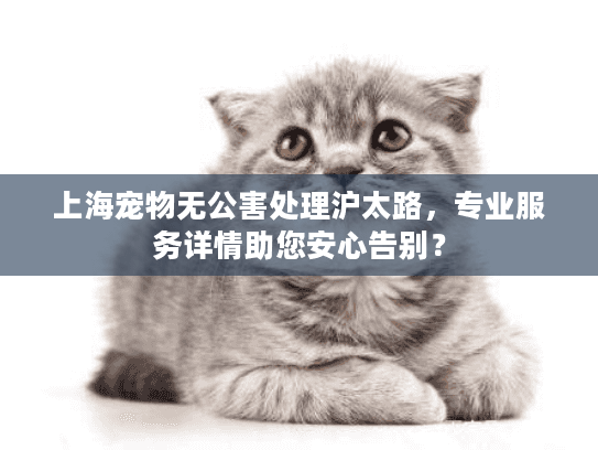 上海宠物无公害处理沪太路，专业服务详情助您安心告别？