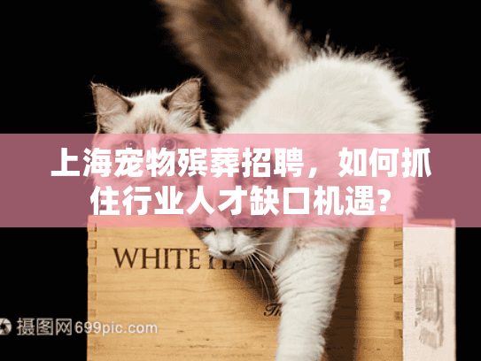 上海宠物殡葬招聘，如何抓住行业人才缺口机遇?