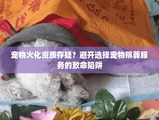 宠物火化资质存疑?避开选择宠物殡葬服务的致命陷阱 宠物火化资质存疑?避开选择宠物殡葬服务的致命陷阱