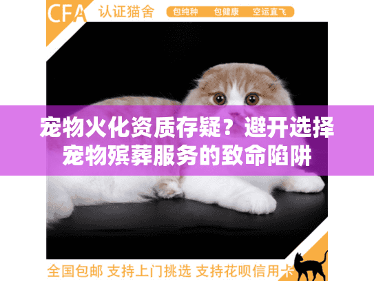 宠物火化资质存疑？避开选择宠物殡葬服务的致命陷阱