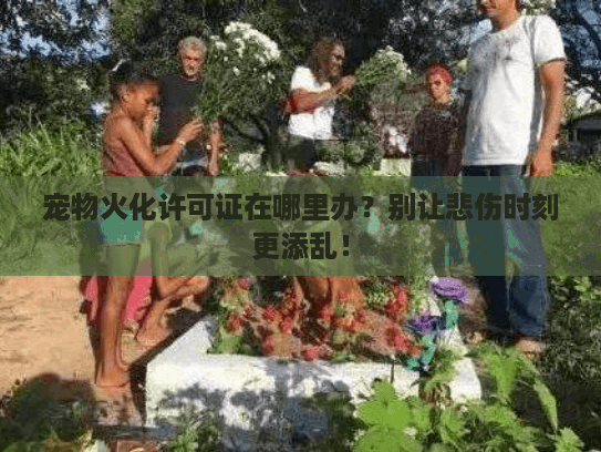 宠物火化许可证在哪里办？别让悲伤时刻更添乱！