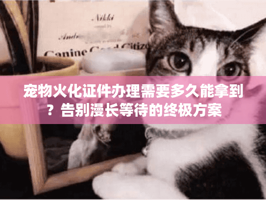 宠物火化证件办理需要多久能拿到？告别漫长等待的终极方案