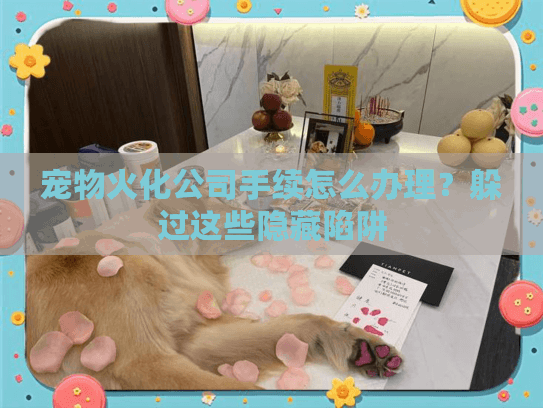宠物火化公司手续怎么办理？躲过这些隐藏陷阱