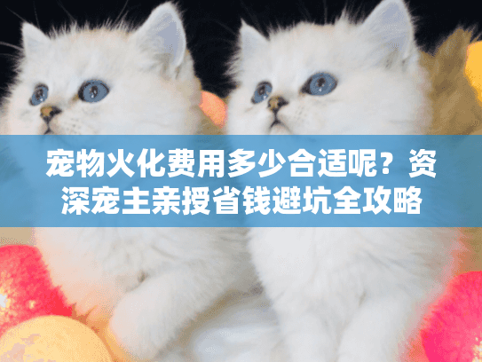 宠物火化费用多少合适呢？资深宠主亲授省钱避坑全攻略