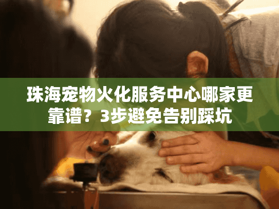 珠海宠物火化服务中心哪家更靠谱？3步避免告别踩坑