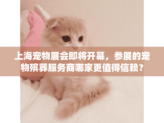 上海宠物展会即将开幕，参展的宠物殡葬服务商哪家更值得信赖？