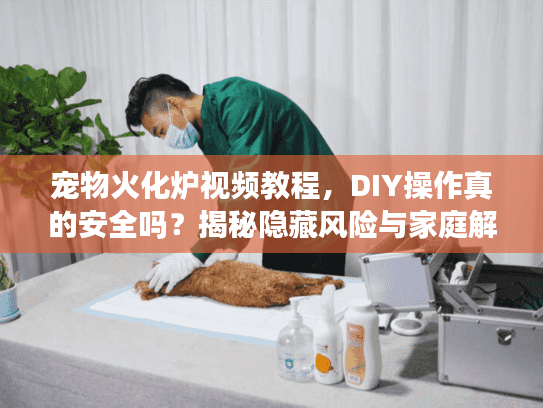 宠物火化炉视频教程，DIY操作真的安全吗？揭秘隐藏风险与家庭解法