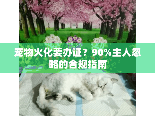 宠物火化要办证？90%主人忽略的合规指南