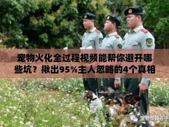 宠物火化全过程视频能帮你避开哪些坑？揪出95%主人忽略的4个真相
