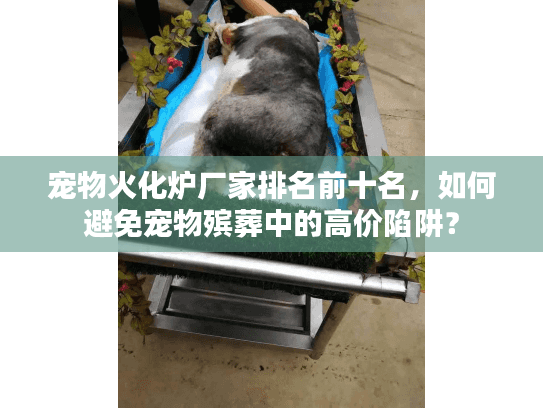 宠物火化炉厂家排名前十名，如何避免宠物殡葬中的高价陷阱？