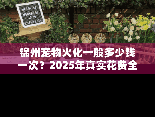 锦州宠物火化一般多少钱一次？2025年真实花费全景拆解
