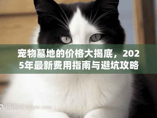 宠物墓地的价格大揭底，2025年最新费用指南与避坑攻略