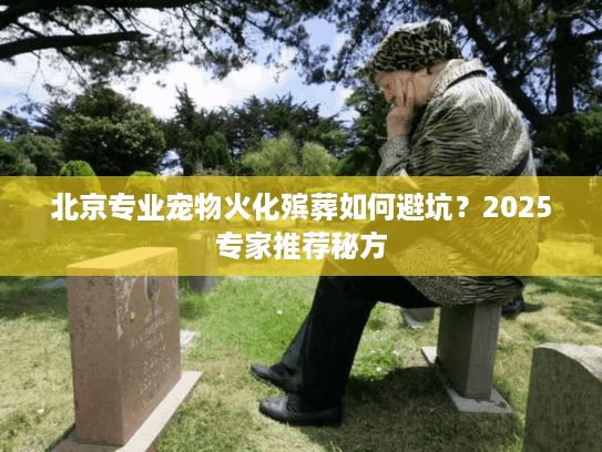 北京专业宠物火化殡葬如何避坑？2025专家推荐秘方