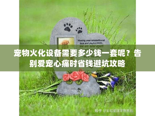 宠物火化设备需要多少钱一套呢？告别爱宠心痛时省钱避坑攻略