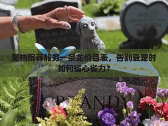 宠物殡葬服务一条龙价目表，告别爱宠时如何省心省力？