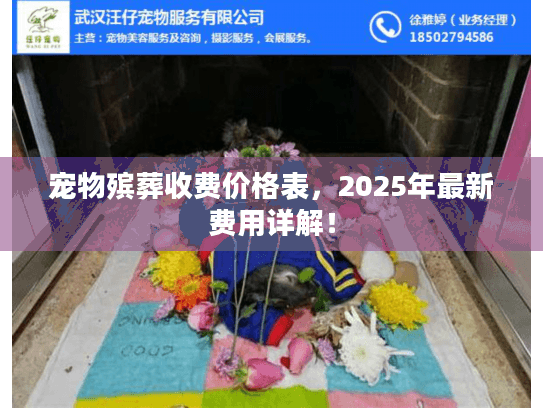 宠物殡葬收费价格表，2025年最新费用详解！