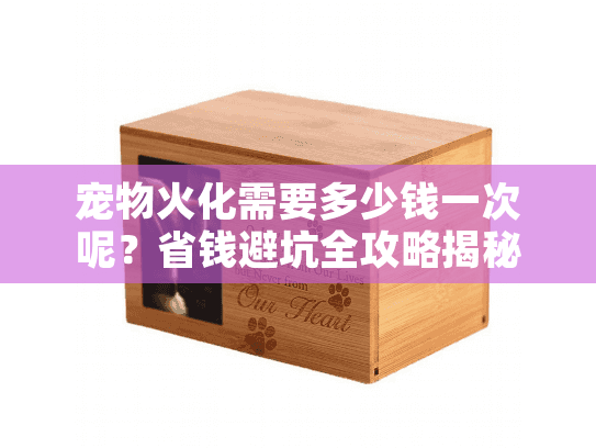 宠物火化需要多少钱一次呢？省钱避坑全攻略揭秘