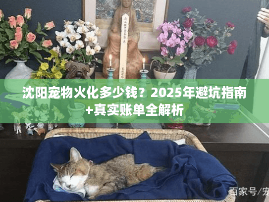 沈阳宠物火化多少钱?2025年避坑指南+真实账单全解析 沈阳宠物火化多少钱?2025年避坑指南+真实账单全解析
