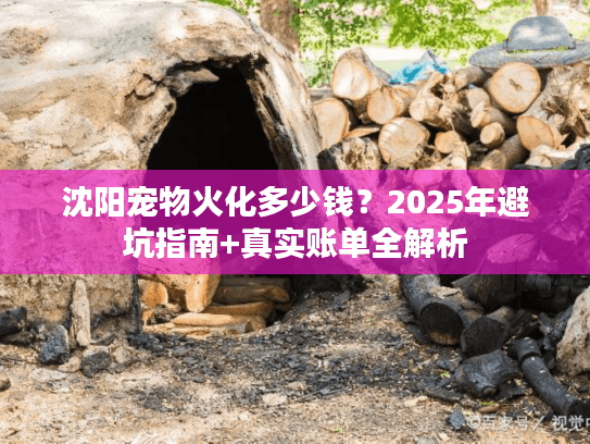 沈阳宠物火化多少钱?2025年避坑指南+真实账单全解析 沈阳宠物火化多少钱?2025年避坑指南+真实账单全解析