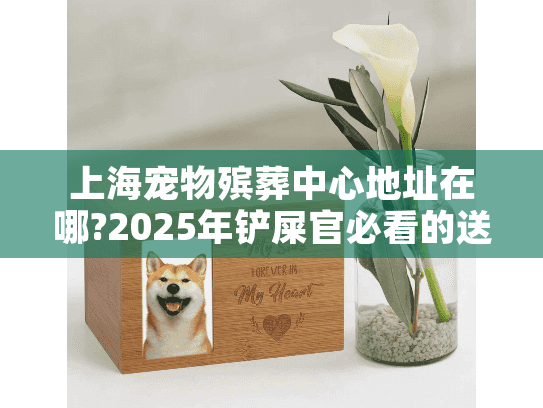 上海宠物殡葬中心地址在哪?2025年铲屎官必看的送别指南