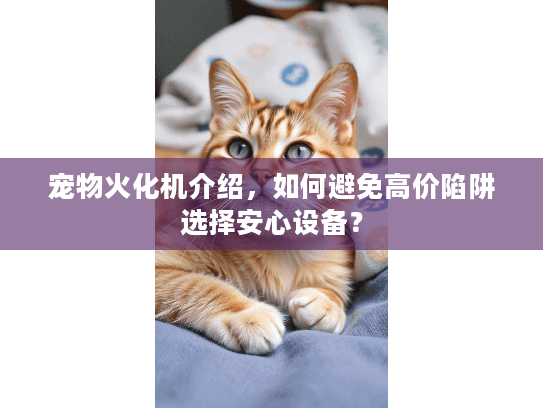 宠物火化机介绍，如何避免高价陷阱选择安心设备？
