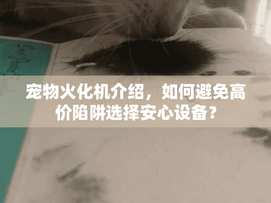 宠物火化机介绍，如何避免高价陷阱选择安心设备？