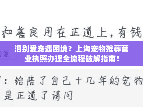 泪别爱宠遇困境？上海宠物殡葬营业执照办理全流程破解指南！