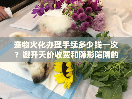 宠物火化办理手续多少钱一次?避开天价收费和隐形陷阱的实战指南 宠物火化办理手续多少钱一次?避开天价收费和隐形陷阱的实战指南
