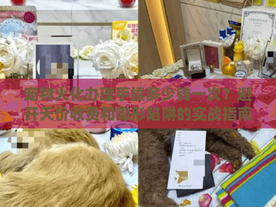 宠物火化办理手续多少钱一次?避开天价收费和隐形陷阱的实战指南 宠物火化办理手续多少钱一次?避开天价收费和隐形陷阱的实战指南