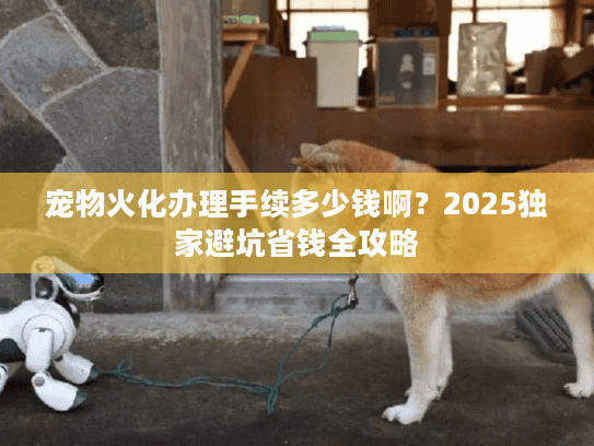 宠物火化办理手续多少钱啊？2025独家避坑省钱全攻略