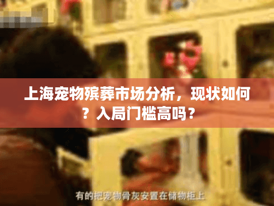 上海宠物殡葬市场分析，现状如何？入局门槛高吗？
