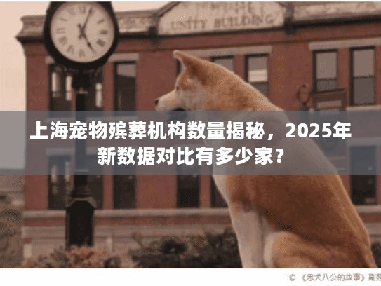 上海宠物殡葬机构数量揭秘，2025年新数据对比有多少家？