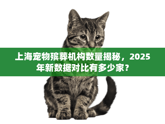 上海宠物殡葬机构数量揭秘，2025年新数据对比有多少家？