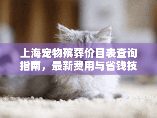 上海宠物殡葬价目表查询指南，最新费用与省钱技巧