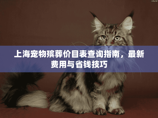 上海宠物殡葬价目表查询指南，最新费用与省钱技巧