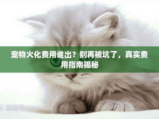 宠物火化费用谁出？别再被坑了，真实费用指南揭秘