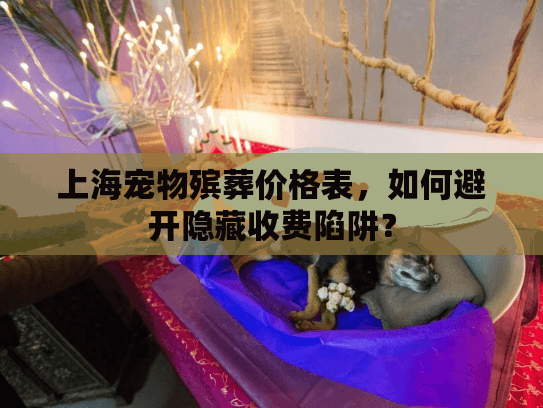 上海宠物殡葬价格表，如何避开隐藏收费陷阱？