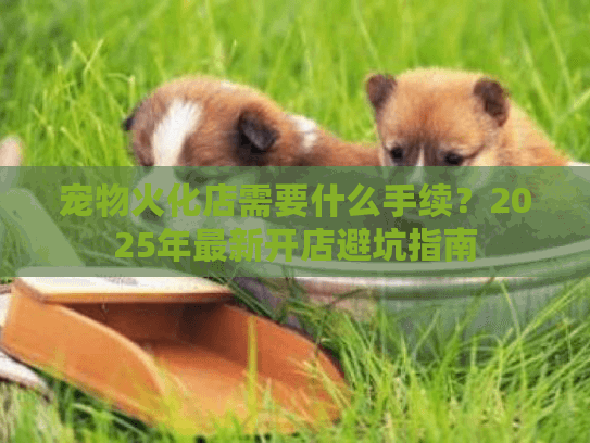 宠物火化店需要什么手续？2025年最新开店避坑指南