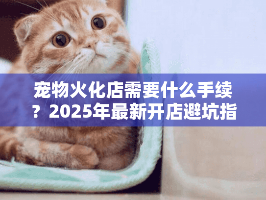 宠物火化店需要什么手续?2025年最新开店避坑指南 宠物火化店需要什么手续?2025年最新开店避坑指南