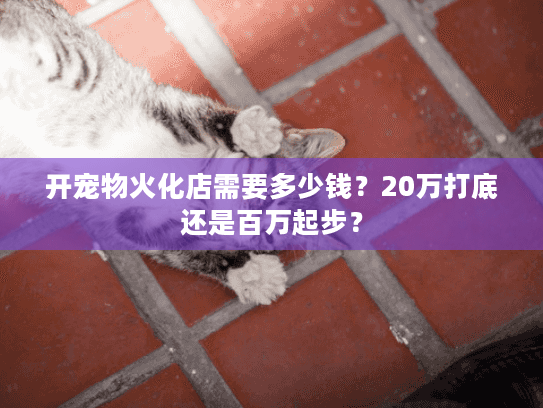 开宠物火化店需要多少钱?20万打底还是百万起步? 开宠物火化店需要多少钱?20万打底还是百万起步?