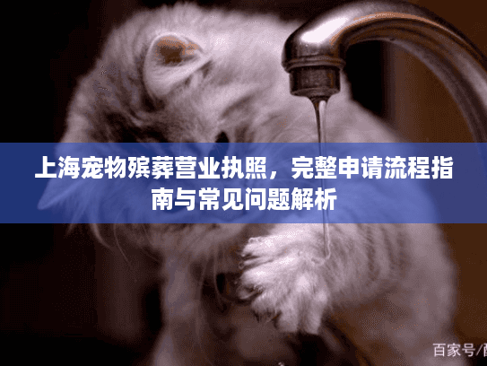 上海宠物殡葬营业执照，完整申请流程指南与常见问题解析