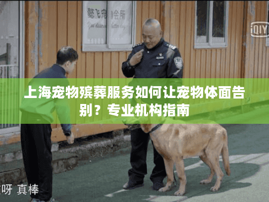 上海宠物殡葬服务如何让宠物体面告别？专业机构指南