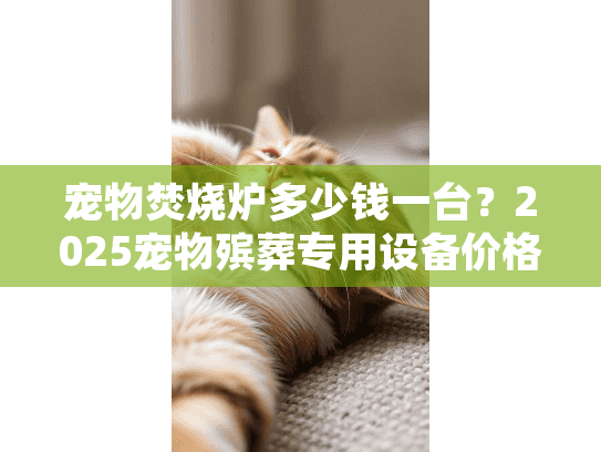宠物焚烧炉多少钱一台？2025宠物殡葬专用设备价格全解析
