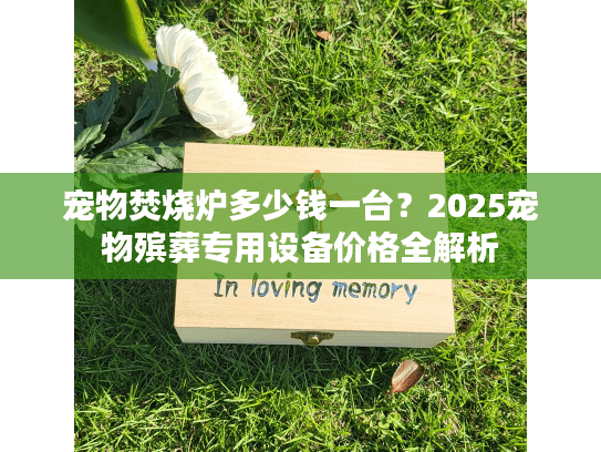宠物焚烧炉多少钱一台？2025宠物殡葬专用设备价格全解析