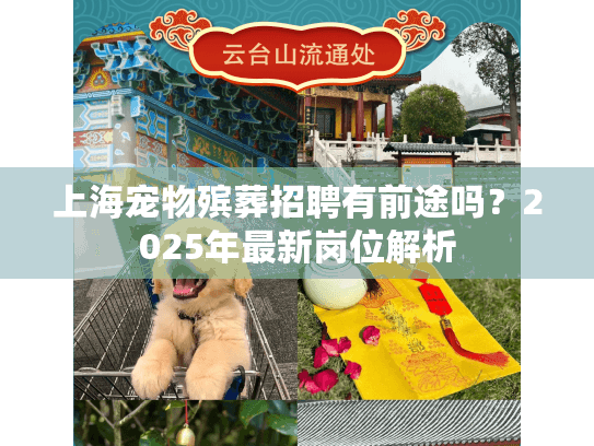上海宠物殡葬招聘有前途吗？2025年最新岗位解析