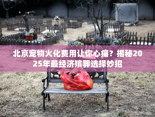 北京宠物火化费用让你心痛?揭秘2025年最经济殡葬选择妙招 北京宠物火化费用让你心痛?揭秘2025年最经济殡葬选择妙招