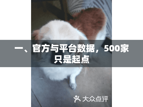 一、官方与平台数据，500家只是起点