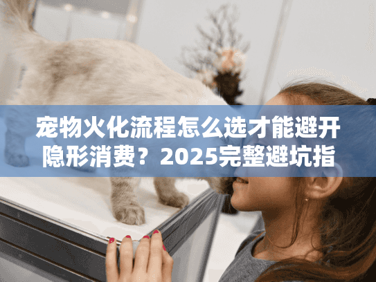 宠物火化流程怎么选才能避开隐形消费？2025完整避坑指南