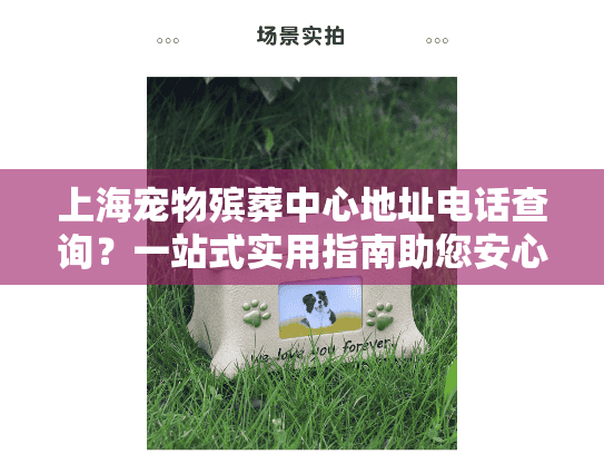上海宠物殡葬中心地址电话查询？一站式实用指南助您安心服务！